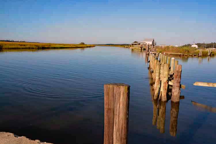 bayou